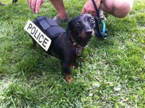 police dog