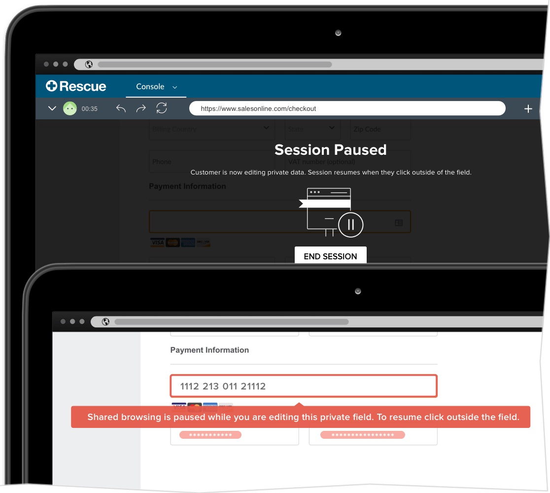 View of Rescue Live Guide interface showing data masking as customer inputs private bank information